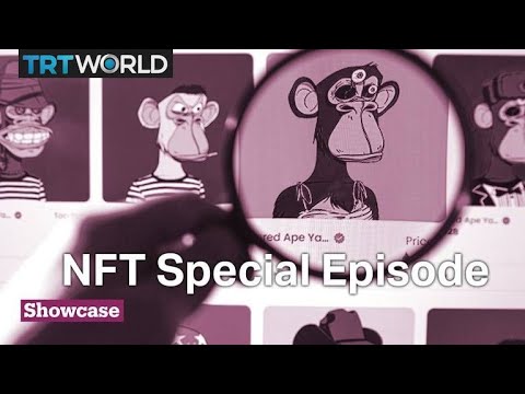 NFT Implosion & NFT Scams | Showcase Special