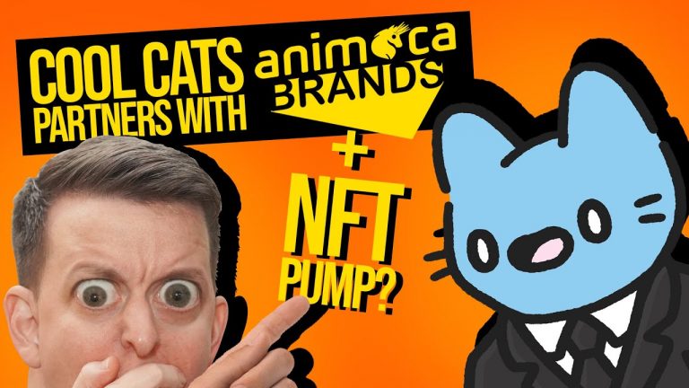 Cool Cats Raise Funding from Animoca Brands, NFT Volume is Up, Renga Cools Off (The NFT Show 24)