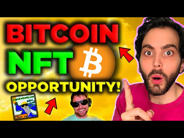 What are Bitcoin Ordinal NFTs? 100x Opportunity (WATCH ASAP)