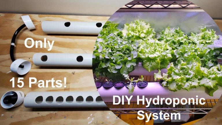 DIY Hydroponic System with 15 Parts (NFT)